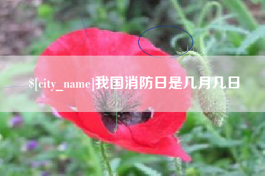 淄博我国消防日是几月几日