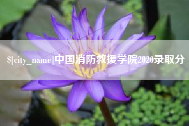 淄博中国消防救援学院2020录取分