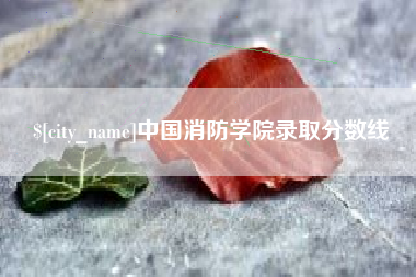 淄博中国消防学院录取分数线