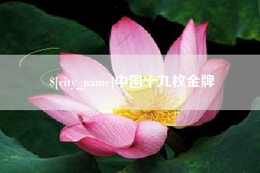 淄博中国十九枚金牌