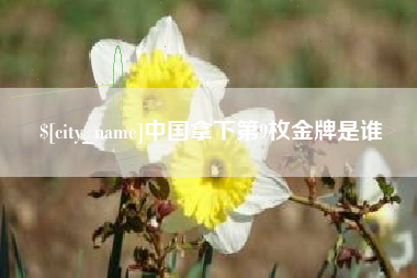 淄博中国拿下第9枚金牌是谁