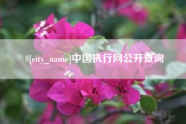 淄博中国执行网公开查询