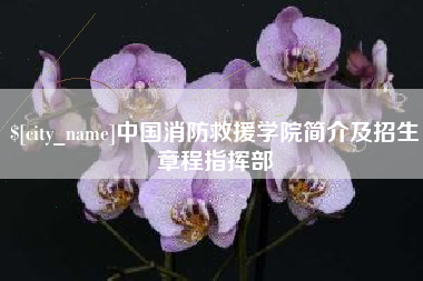 淄博中国消防救援学院简介及招生章程指挥部