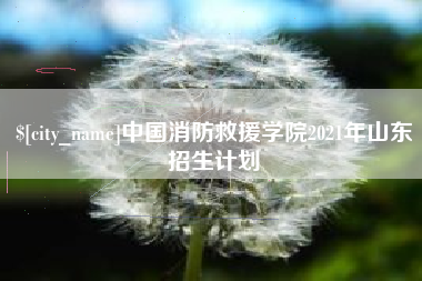 淄博中国消防救援学院2021年山东招生计划