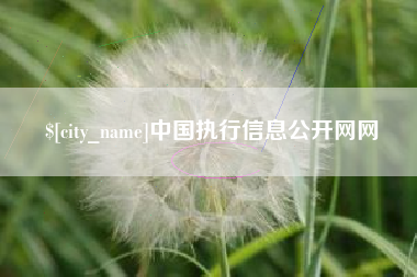 淄博中国执行信息公开网网
