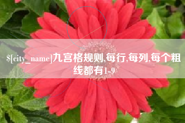 淄博九宫格规则,每行,每列,每个粗线都有1-9