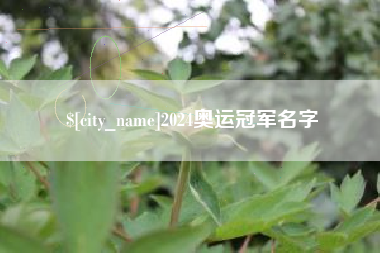 淄博2024奥运冠军名字