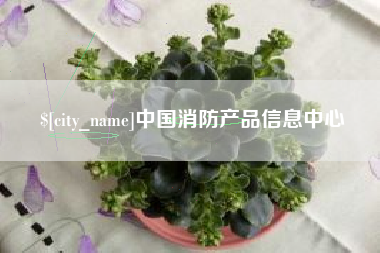 淄博中国消防产品信息中心