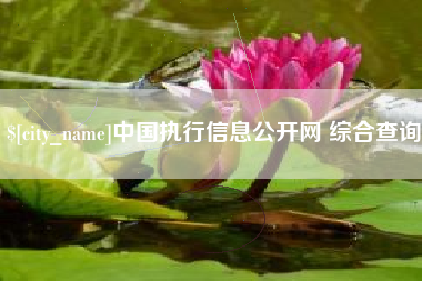 淄博中国执行信息公开网 综合查询