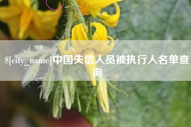 淄博中国失信人员被执行人名单查询