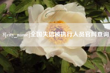 淄博全国失信被执行人员官网查询