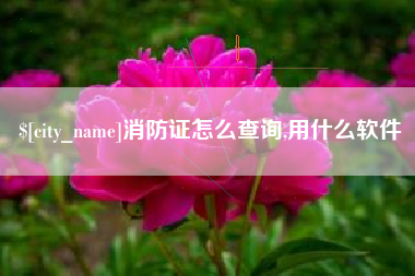 淄博消防证怎么查询,用什么软件