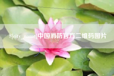 淄博中国消防官方二维码图片