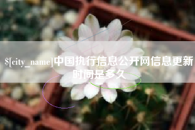 淄博中国执行信息公开网信息更新时间是多久