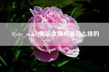 淄博奥运金牌榜是怎么排的