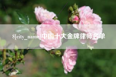 淄博中国十大金牌律师名单
