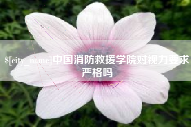 淄博中国消防救援学院对视力要求严格吗