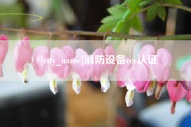 淄博消防设备ccc认证