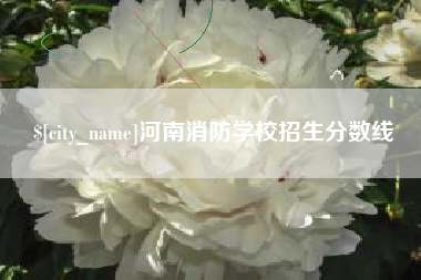 淄博河南消防学校招生分数线