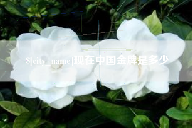 淄博现在中国金牌是多少