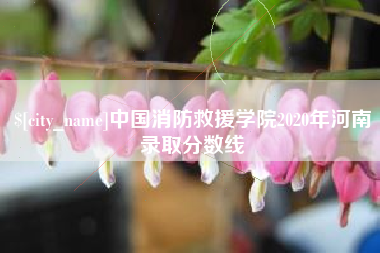 淄博中国消防救援学院2020年河南录取分数线