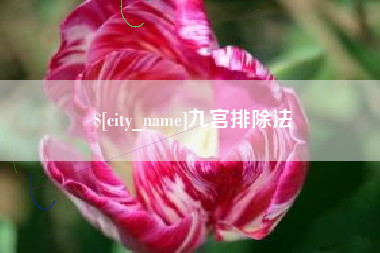 淄博九宫排除法