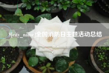 淄博全国消防日主题活动总结