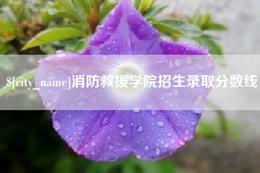 淄博消防救援学院招生录取分数线