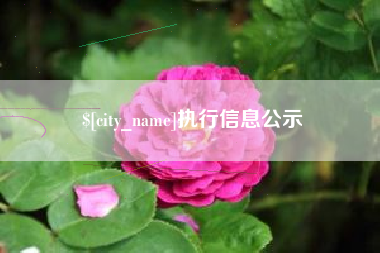 淄博执行信息公示