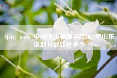 淄博中国消防救援学院2021年山东录取分数线是多少
