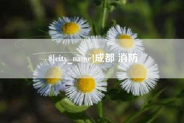 淄博成都 消防