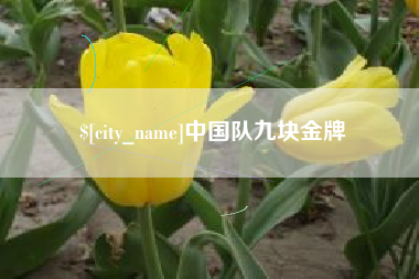 淄博中国队九块金牌