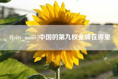 淄博中国的第九枚金牌在哪里