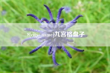 淄博九宫格盘子