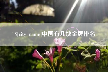 淄博中国有几块金牌排名