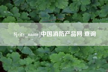 淄博中国消防产品网 查询