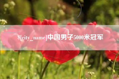 淄博中国男子5000米冠军