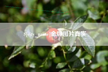 淄博金牌图片真实