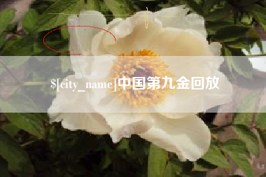 淄博中国第九金回放