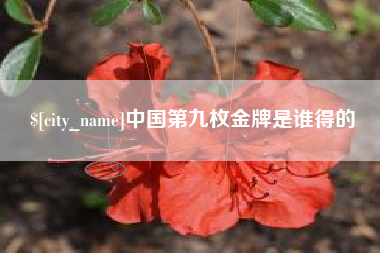 淄博中国第九枚金牌是谁得的
