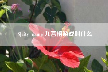 淄博九宫格游戏叫什么