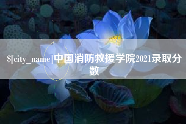 淄博中国消防救援学院2021录取分数