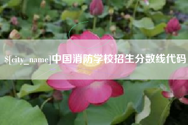 淄博中国消防学校招生分数线代码