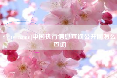 淄博中国执行信息查询公开网怎么查询