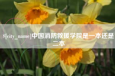 淄博中国消防救援学院是一本还是二本