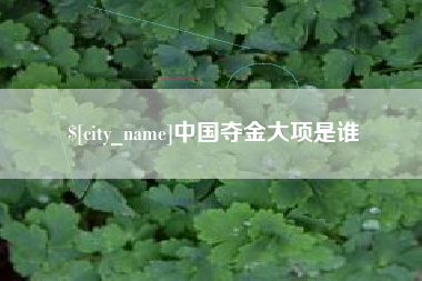 淄博中国夺金大项是谁