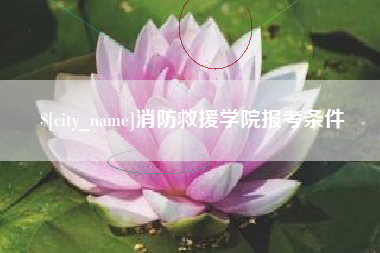 淄博消防救援学院报考条件