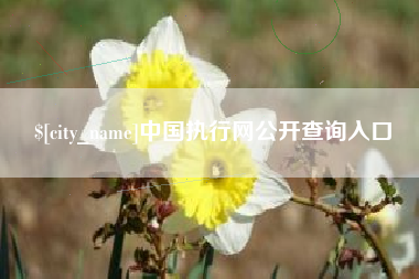 淄博中国执行网公开查询入口