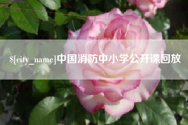 淄博中国消防中小学公开课回放