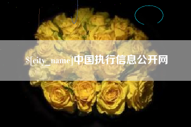 淄博中国执行信息公开网
